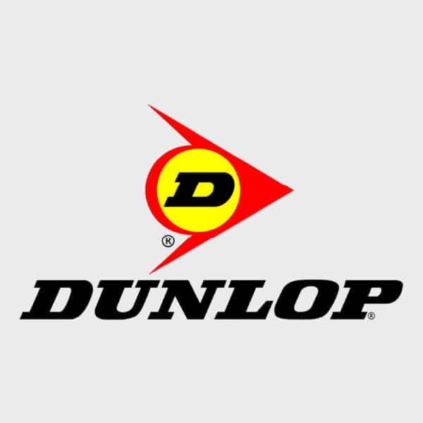 Dunlop tires logo